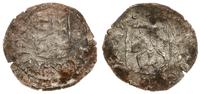 denar ok. 1443, Aw: Tarcza herbowa, po bokach oz