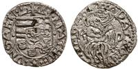 denar ok. 1490, Kremnica, Aw: Tarcza herbowa, wo