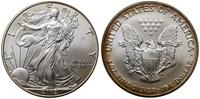 1 dolar 2002, Denver, Walking Liberty, srebro pr
