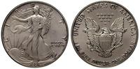 1 dolar 1991, srebro 31.20 g