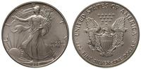 1 dolar 1992, srebro 31.35 g