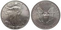 1 dolar 2006, srebro 31.31 g