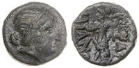 brąz 350-250 pne, Aw: Głowa Ateny w diademie w p