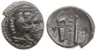 brąz 336-323 pne, Aw: Głowa Heraklesa w prawo, R