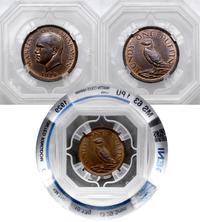 1 puffin 1929, piękna moneta w pudełku GENI UK73