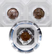 1/2 puffin 1929, piękna moneta w pudełku GENI UK