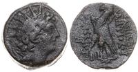 brąz 113–110 pne, Antiochia ad Orontem, Aw: Głow