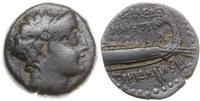 brąz 155–151 pne, Aw: Głowa Demetriusza w prawo,