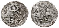 denar litewski 1557, Wilno, Kop. 3215 (R3), Tysz