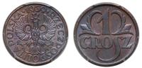 1 grosz 1939, Warszawa, moneta w pudełku PCGS nr