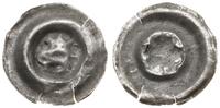 brakteat poc. XIV w., Głowa wołu na wprost, sreb
