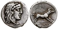 denar 78 pne, Rzym, Aw: Głowa Herkulesa w lwiej 