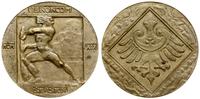 medal pamiątkowy 1919, Aw: W kwadracie mężczyzna