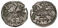 denar 1557, Wilno, delikatna patyna, Cesnulis-Iv