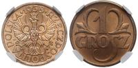 1 grosz 1938, Warszawa, piękna moneta w pudełku 