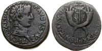 dupondius 19-21, Aw: Głowa cesarza w prawo, TI C
