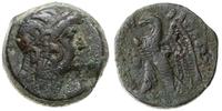 brąz ok. 180-170 pne, Aw: Głowa Ptolemeusza w pr