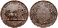 Rosja, medal nagrodowy ZA POŻYTECZNOŚĆ, 1873