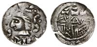 denar  1081–1102, Kraków, Aw: Głowa władcy w lew