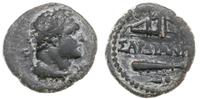 brąz 175-220 ne, Aw: Głowa Heraklesa w prawo, Rw