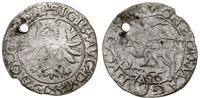 półgrosz 1566, Tykocin, moneta z dużym herbem Ja