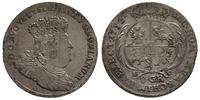 dwuzłotówka (8 groszy) 1753, 'efraimek', odmiana