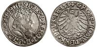 grosz 1534, Toruń, końcówki legend PRVSSIE / PRV