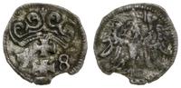 denar 1558, Gdańsk, rzadki, wyszczerbienie, paty