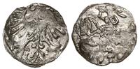 denar 1559, Wilno, lekko ugięty, Cesnulis-Ivanau