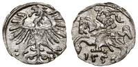denar 1556, Wilno, małe cyfry daty, Cesnulis-Iva