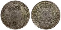 8 groszy (dwuzłotówka) 1753 EC, Lipsk, mała głow