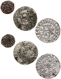 lot 3 monet, Królewiec, denar 1560, szeląg 1531 