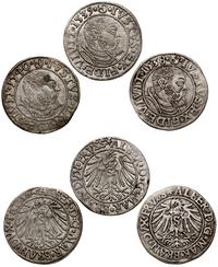 zestaw: 3 x grosz 1538, 1539, 1540, Królewiec, r