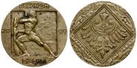 Polska, medal pamiątkowy, 1919