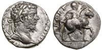 denar 196-197, Laodicea ad Mare, Aw: Głowa cesar