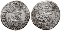 grosz na stopę polską 1568, Tykocin, końcówki na