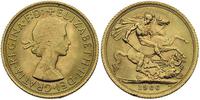 1 funt 1966, złoto "916", 7.99 g