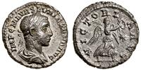 denar 222–235, Antiochia, Aw: Głowa cesarza w wi