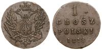 1 grosz polski 1818, Warszawa, Bitkin 886, Plage