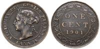 1 cent 1901, Londyn, patyna, KM 7