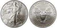 1 dolar 2010, West Point, typ Walking Liberty, s