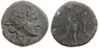 brąz ok. 79-65 pne, Aw: Głowa Dionizosa w prawo,