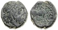 brąz ok. 187–31 pne, Aw: Głowa Posejdona w prawo