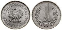1 złoty 1973, Warszawa, aluminium, piękny, Parch