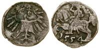 denar 1554, Wilno, patyna, Cesnulis-Ivanauskas 2