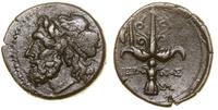 brąz 275–215 pne, Aw: Głowa Posejdona w lewo, Rw