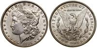 1 dolar 1885, Filadelfia, typ Morgan, srebro 26.