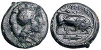 brąz IV w. pne, Aw: Głowa Ateny w prawo, Rw: Byk