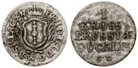 1 grosz 1699 SD, Królewiec, bardzo rzadki, Neuma