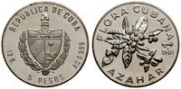 5 peso 1981, Hawana, Flora Kuby - Kwiat cytryny,